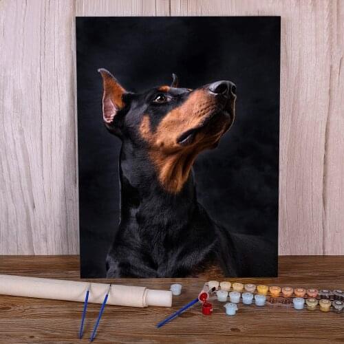 Animal Dog Doberman DIY Paint By Numbers Kit Oil Paints 50*70 Picture By Numbers Photo Loft Picture Crafts For Adults Art