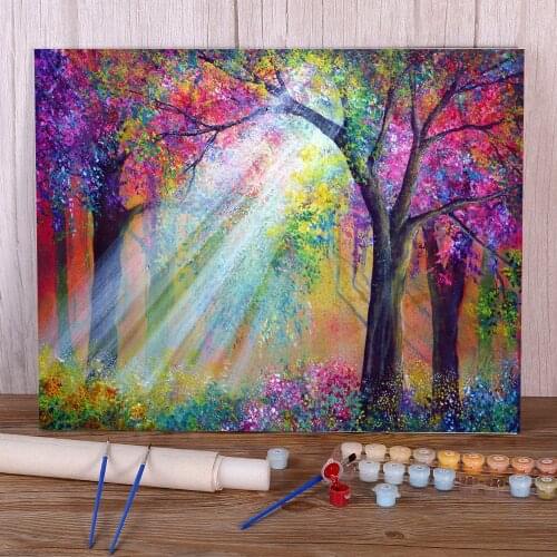 Natural Scenery Elation Paint By Numbers Package Oil Paints 40*50 Canvas Painting Loft Wall Picture For Wholesale