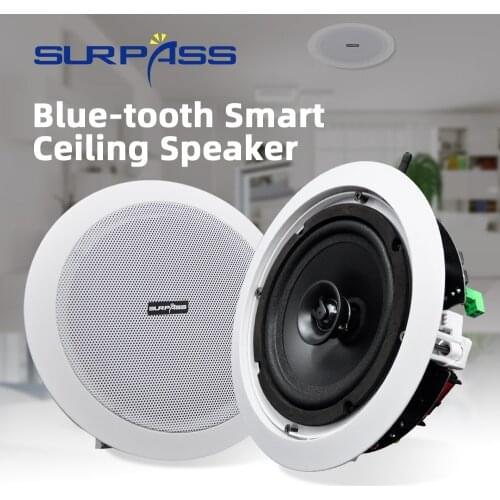 Home Audio WiFi Ceiling Speaker Bluetooth PA System 30w HIFI Stereo Sound Subwoofer Coxial 2-Way In Wall Loundspeaker with JR45