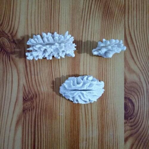 300pcs Wedding Favors And Gifts "seven Seas" Coral Place Card Photo Holder Beach Theme Wedding Frame