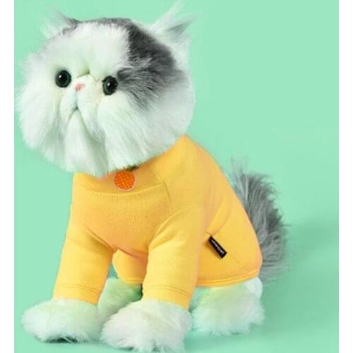 New Pet Clothes Dog Two-legged Sweater Dog Hoodies Small Dog Teddy Puppy Shirt Dog Costume