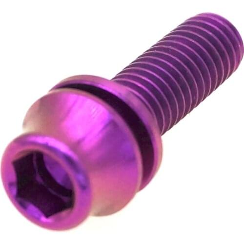 LOT 4 Purple M5 x 16mm GR5 Titanium Screw Bolts With Washer For Bicycle Kettle