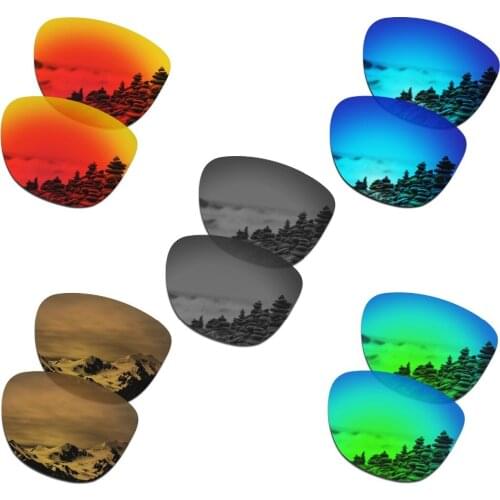 SmartVLT 5 Pairs Polarized Sunglasses Replacement Lenses for Oakley Frogskins - 5 Colors