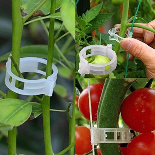 100PCS Vine Fixing Clips Plant Climbing Wall Fastener Tied Fixture Vine Garden Plant Climb Vine Clips Fixed Garden Decoration