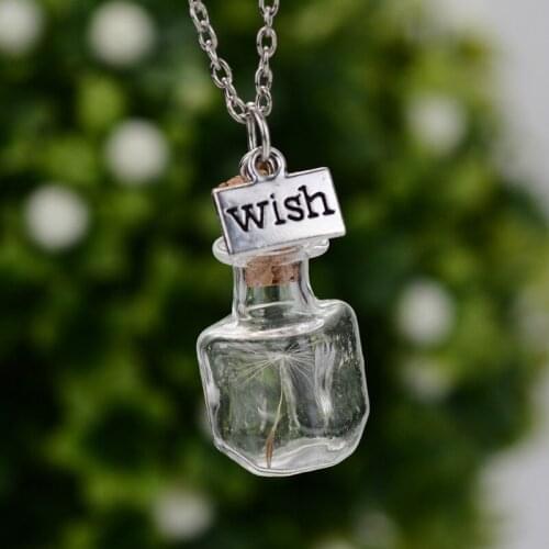 Drifting Bottle Pendant Necklaces Creative Natural Dry Dandelion Women Necklaces Flower Glass Girl Gift