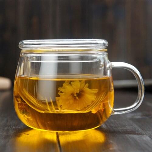 350ML Glass Cup With Filter Tea Milk Coffee Cup with Lid Handgrip Heat Resistant Glass Mug Transparent Thicken Mug