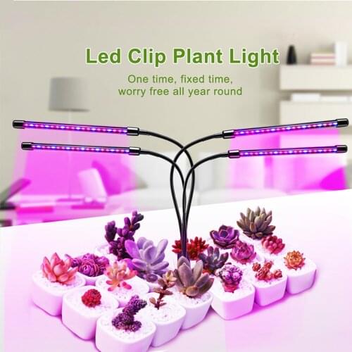 Дизайнерские оригинальные светильники Marry Mas China At AliExpress