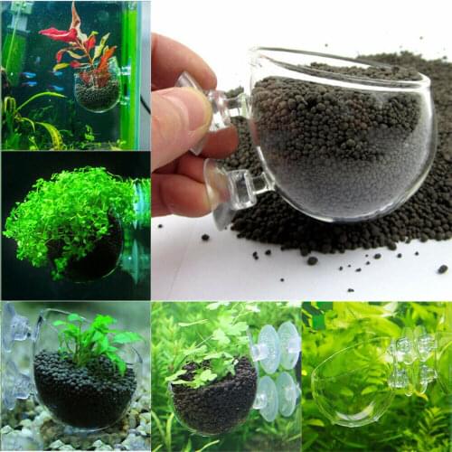 Aquarium Fish Tank Crystal Glass Pot Plant Cup Holder Mini Glass Planting Cylinder Cup Accessories