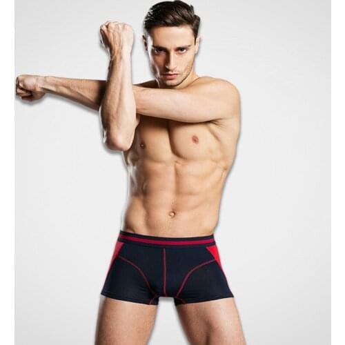 5 pieces/lot!Mens Boxer Mens Underwear Boxers Comfortable Thin modal Shorts Underwear Sexy Body Men Boxe