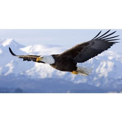 LIPHISFUN Needlework Cross Stitch Embroidery Diamond Painting Full Drill Home Decor Square/round Bird Animal Eagle