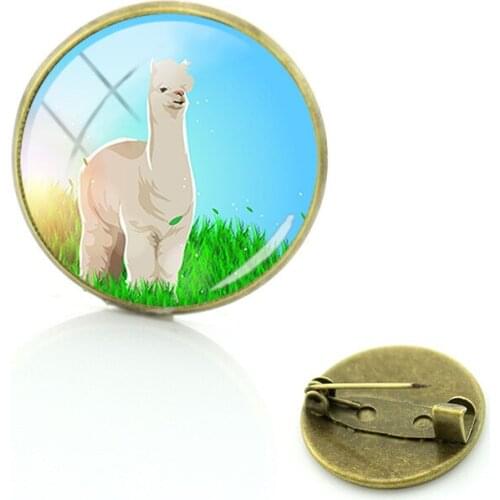 Caxybb Brooches With Animals For Clothes