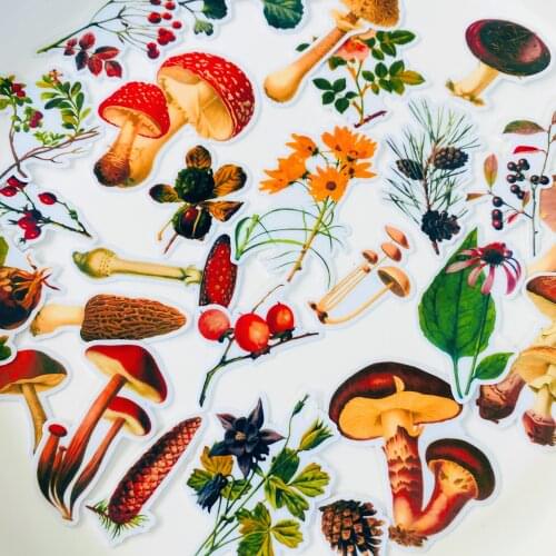 Vintage Plant Mushroom Illustrated Book Sticker DIY Scrapbook Bottom Collage Phone Diary Album Happy Plan Gift Seal Decoration