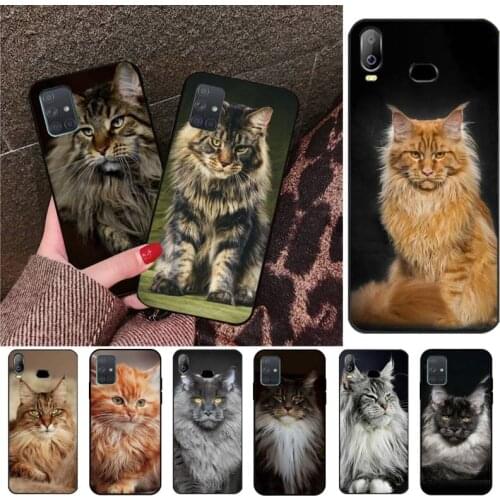 Pet maine coon cat Phone Case Cover For Samsung A10 A20 A30 A40 A50 A70 A80 A71 A91 A51 A6 A8 2018
