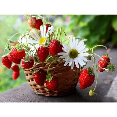 Fruit Strawberry DIY 11CT Embroidery Cross Stitch Kits Craft Needlework Set Printed Canvas Cotton Thread Home Sell