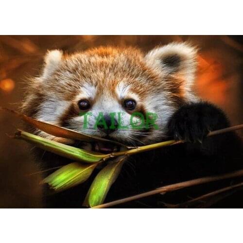 Diamond painting 5D Home Decor Gift Cuadros haft diamentowy kit set Full square Cross stitch animal Mosaic art colour squirrel 9