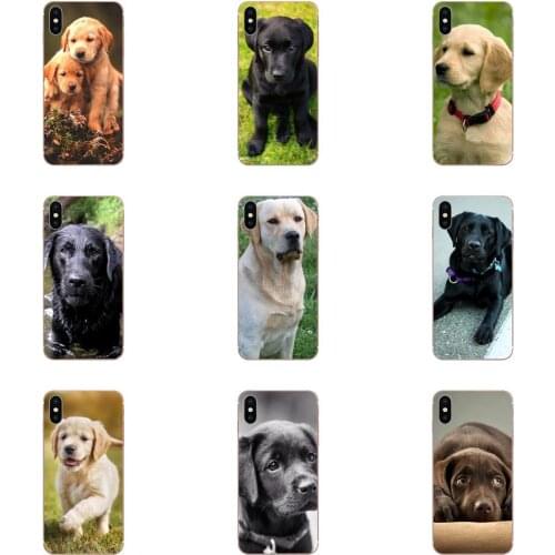 TPU Quinn Phone Puppy Labrador Retriever Dog Tpu For Huawei Mate 30 Pro Lite 20s NOVA 6 SE 5 P40 p30 lite Honor V30 20 Pro