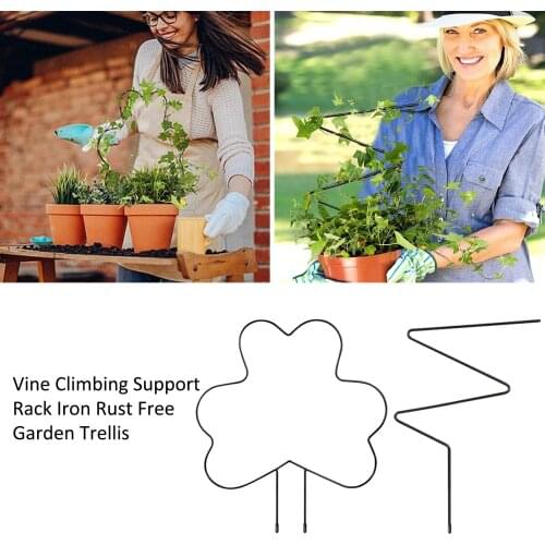 Metal Iron flower Shaped Garden Plant Support Stake Stand for DIY Potted Climbing Plants Flower Vegetables Vine Rack