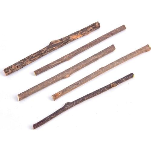 5PCS Natural Catnip Pet Cat Molar Toothpaste Stick Matatabi Actinidia Fruit Silvervine Cat Snacks Sticks Pet Cleaning Teeth