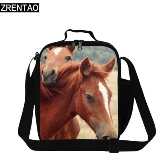 ZRENTAO Cooler Bags