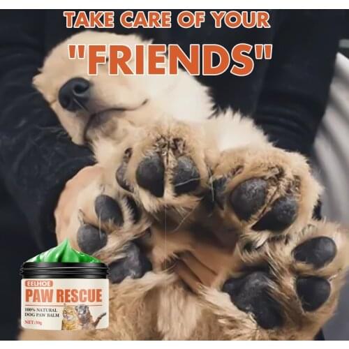 10/20/30/50g Dog Paw Care Creams Ointment Puppy Dog Paw Care Cream Moisturizing Forefoot Toe Health Beauty Pet Cat Accessories