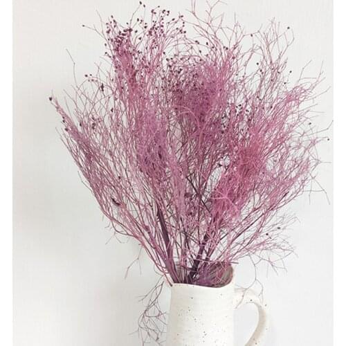 Dream Grass Artificial Plant Home Decoration Accessories Natural Dried Preserved Flower Cheap Wedding Party Living Room Decor