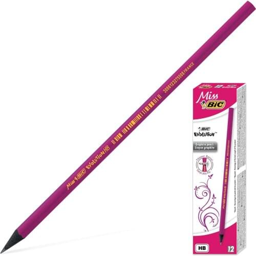 12 li pencil bic