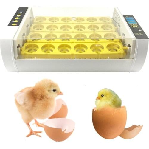 24PCS Small Fully-automatic Egg Incubators Poultry Feeding Supplies Electric Egg Incubator Wholesale