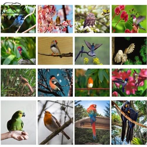 Parrot Magpie Owl Diamond Painting Cross Stitch This Is a Modern Bird Animal Picture Handmade Diy Diamond Embroidery Special Gif