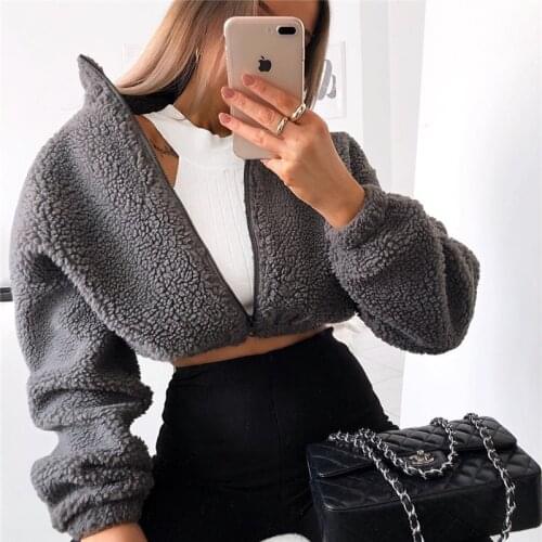 Solid Zipper Autumn Jackets Warm Coats Winter Fashion Turtleneck Long Sleeve Gray Teddy Faux Furry Coat Women