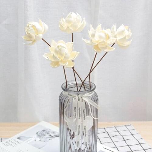 1Pc Natural Flowers Handmade Dried Lotus Flores Party Wedding Marriage Living Room Plantas Naturales Decoration Accesories