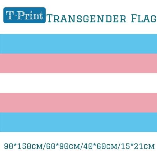 LGBT Transgender Pride Flag 3x5FT Polyester Banners with Brass Grommets 90*150cm 60*90cm 40*60cm 15*21cm For Outdoor