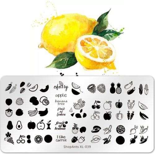 ShopAnts 6*12cm Nail Stamping Plates Fruits Pictures Stencil Stainless Steel Design for Printing Nail Art Image Plate XL-039