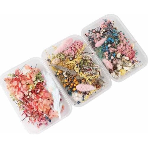 1 Box Colorful Random Real Dried Flower Dry Plants For Making Craft Pressed Flowers DIY Jewelry Accessories Home Decor