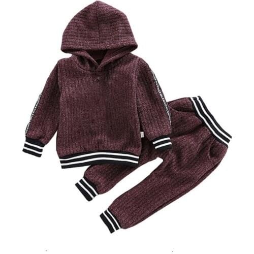 Spring Autumn Fall Clothes Casual Hooded Sweatshirt Pants 2Pcs/Sets Children Clothing Toddler High Kids Quality Boys Girls Suits