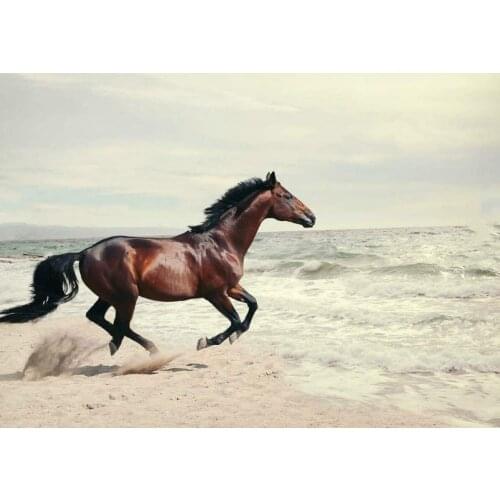 Pretty Brown Horse On Beach Metal Plaque Bar Pub Garage Diner Cafe Home Wall Decor Home Decor Art Poster Retro Poster