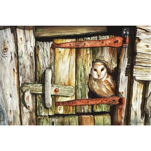 Full Rhinestones Painting Home Decor diy 5d diamond painting Cross Stitch owl Pattern square Diamond Embroidery animal