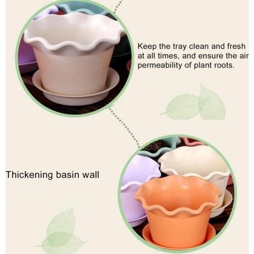 Resin Green Succulent Plants Flowerpot with Tray Garden Home Office Cafe Decor