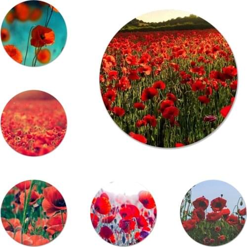 Red Poppies flowers Icons Pins Badge Decoration Brooches Metal Badges For Backpack Decoration 58mm