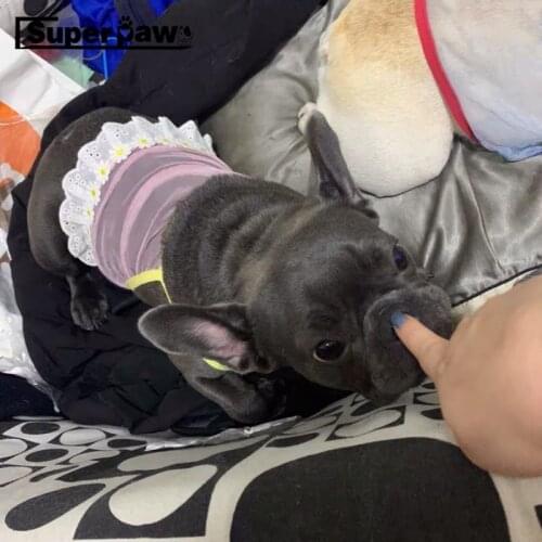 Summer Pet Dog Cooling Mesh Vest Slip Dress Clothes For Small Medium Dogs French Bulldog Schnauzer Chihuahua Pug Hoodie YKC15