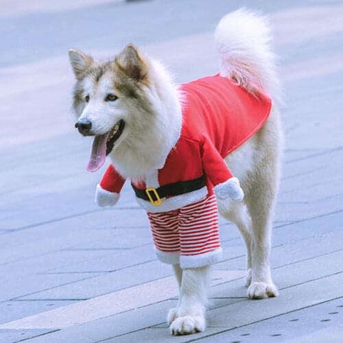 Christmas Pet Dog Cat Costumes Funny Christmas Santa Claus Costume Cute Comfortable Soft Dog Clothes for Medium Large Dogs Cats