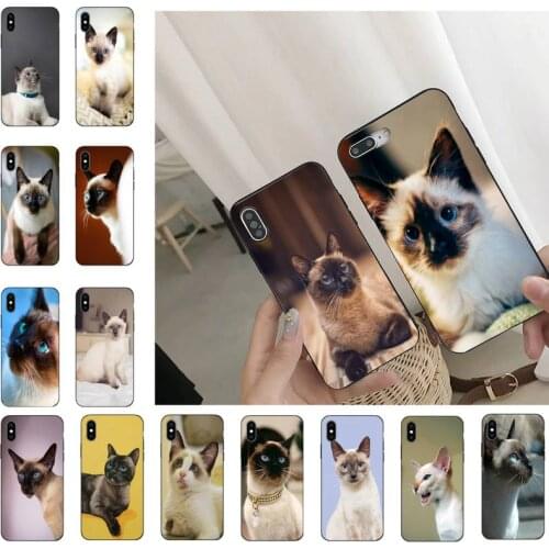 Pet siamese cat Phone Case For iPhone 11 8 7 6 6S Plus 7 plus 8 plus X XS MAX 5 5S XR 12 11 Pro max se 2020 Funda Cover