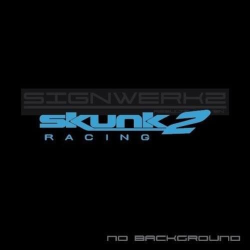 For 2Pcs/Pair Shunk 2 Decal Sticker civic TL TSX RSX S2000 vtec type r Pair Car Styling