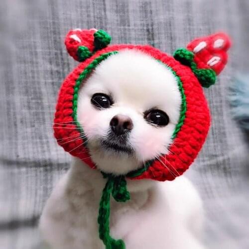 Funny Knitted Cat Costumes Hat Woollen Cute Pet Cap Pink Strawberry Pig Frog Dog Hood Cat Accessories for Chihuahua Pug Animals