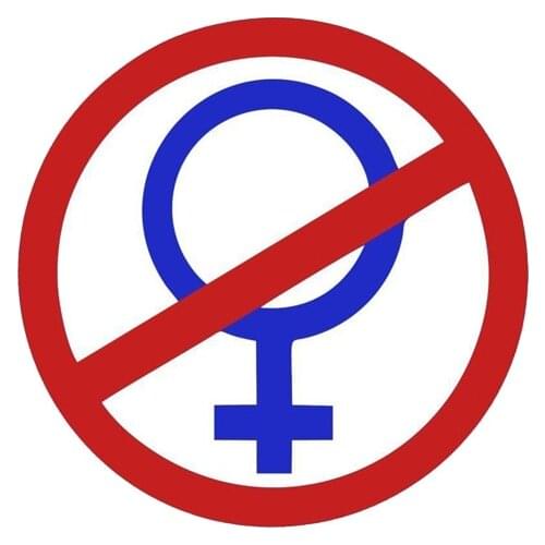 SZWL Warning No Ma Am Car Sticker PVC Funny Decal Waterproof Sunscreen Auto Accessories for Windows Glass BMW KIA Vw,10cm*10cm