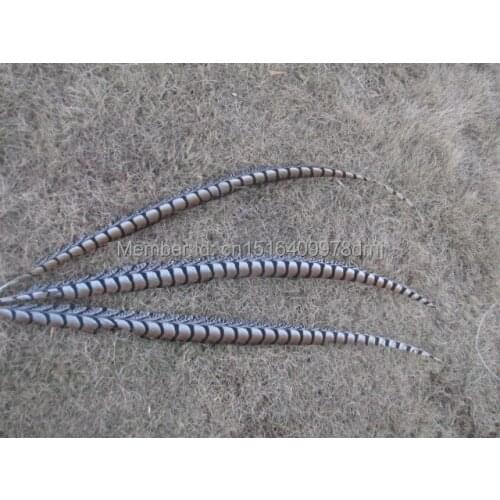 Free shipping 50 natural color pheasant tail feather 90-100 CM 36-40 inch lateral tail markings Wittenbuik chicken feathers
