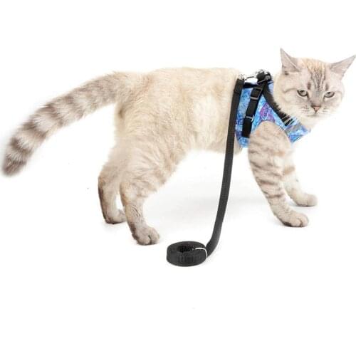 Adjustable Pet Cat Harness and Leash for Walking Kitten Small Dog Harness Reflective Puppy Cotton Padded Vest Chihuahua Jacket