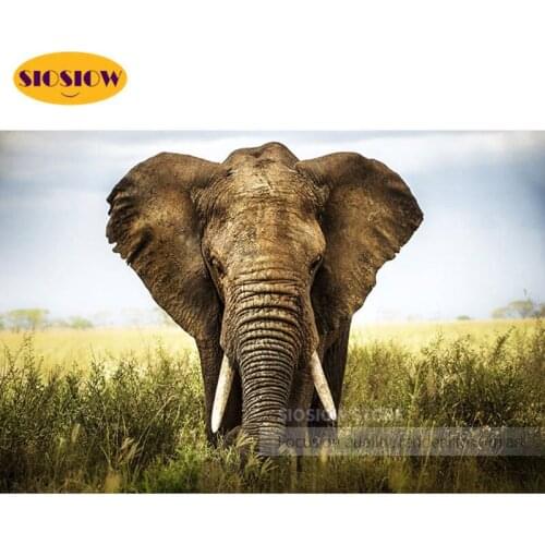 SIOSIOW DIY 5D Diamond Art Painting Full Square Elephant Cross Stitch Diamond Embroidery Animals Home Decor Decorative Elephants