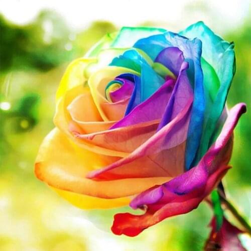 5D Diamond Painting Colorful Rose Full Round Drills DIY Cross Stitch Pattern Rhinestone Embroidery Kits Arts Wall Sticker Flower
