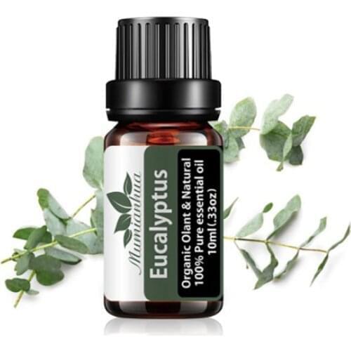 Pure Eucalyptus Aceites Esenciales Huile Essentielle Pour Diffuseur Lot Esencias Para Humificador Difusor De aroma Pain Relief