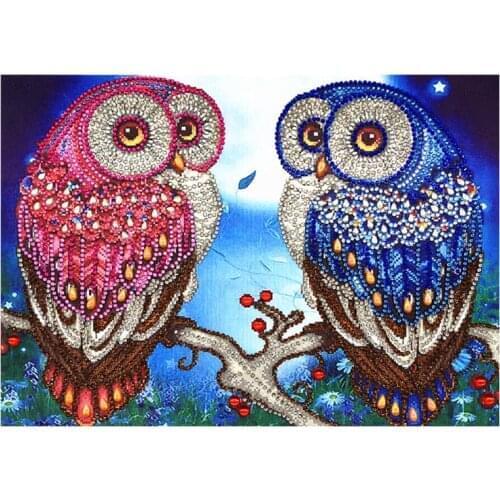 Couple Owl 5D DIY Irregular Diamond Painting Embroidery Rhinestone Crystal Cross Craft Needlework Bag